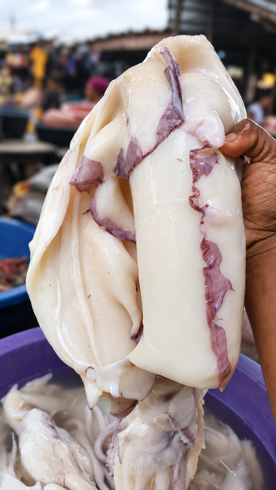 Calamari
