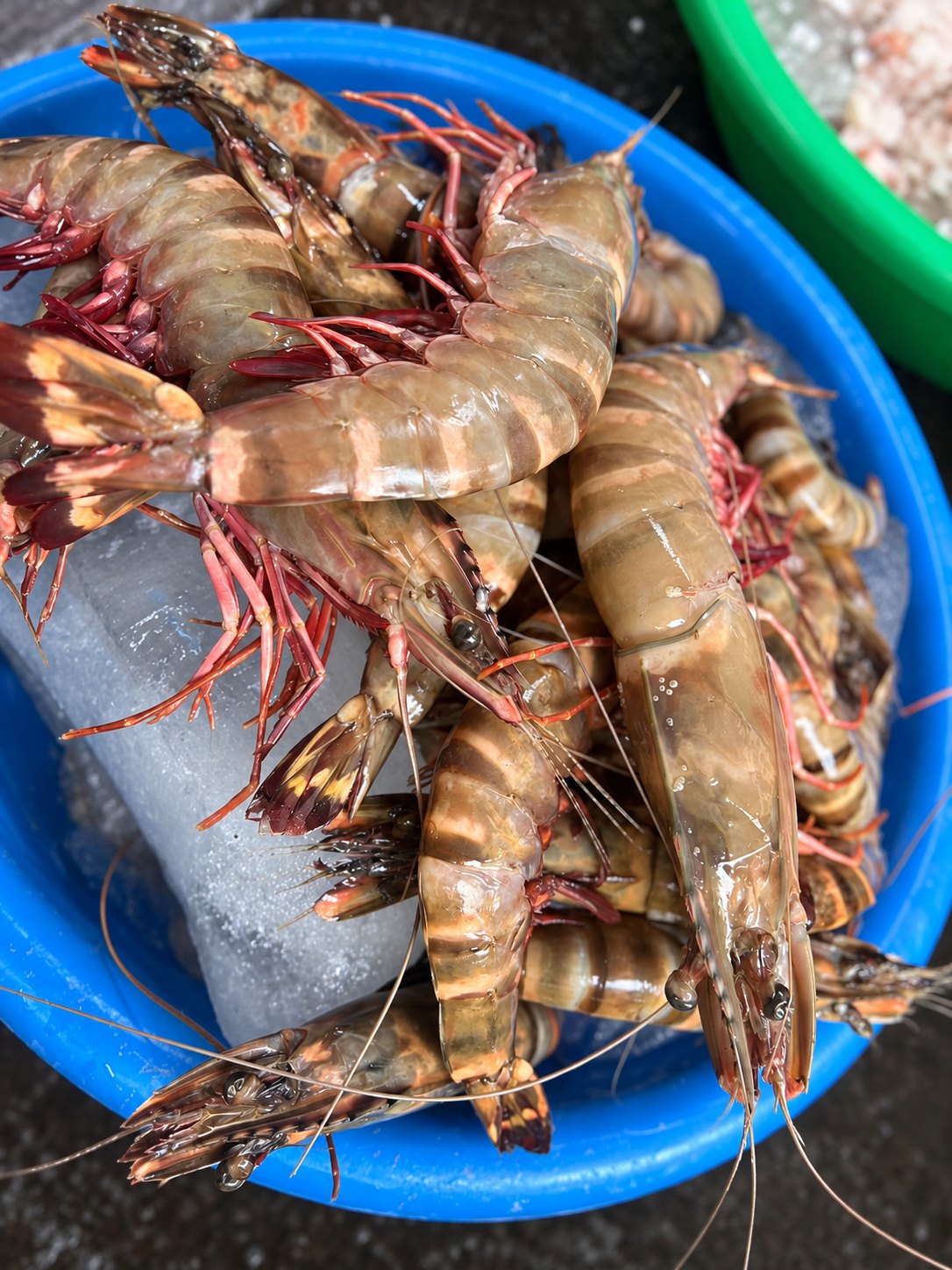 Jumbo tiger prawns